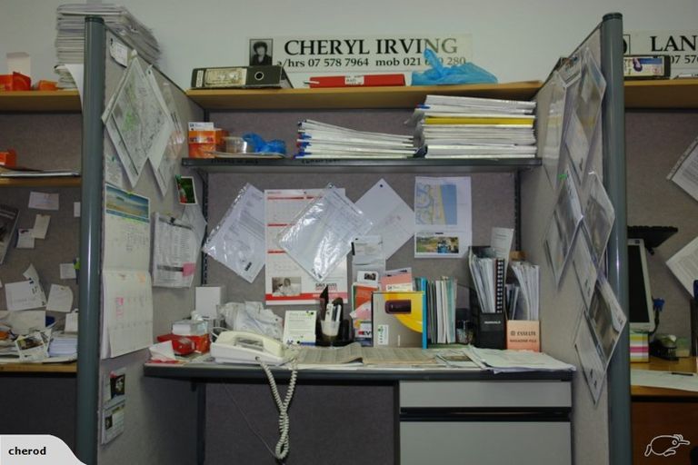 Photo of property in 16c Burrows Street, Tauranga South, Tauranga, 3112