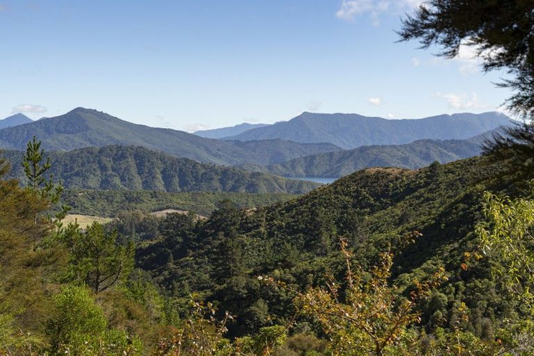 Photo of property in 165 Boons Valley Road, Waikawa, Picton, 7220