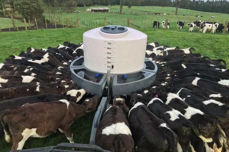 Photo of property in 1128d Omanawa Road, Omanawa, Tauranga, 3171