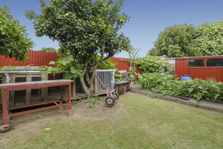 Photo of property in 57b Haukore Street, Hairini, Tauranga, 3112