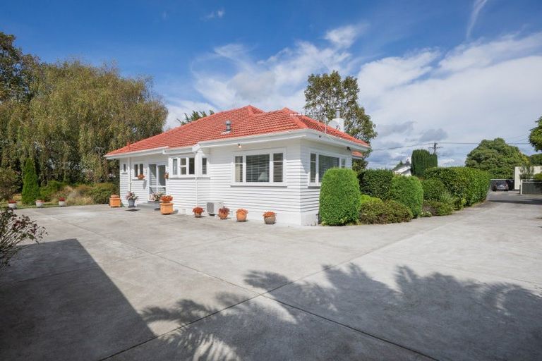 Photo of property in 46 Keepa Street, Levin, 5510