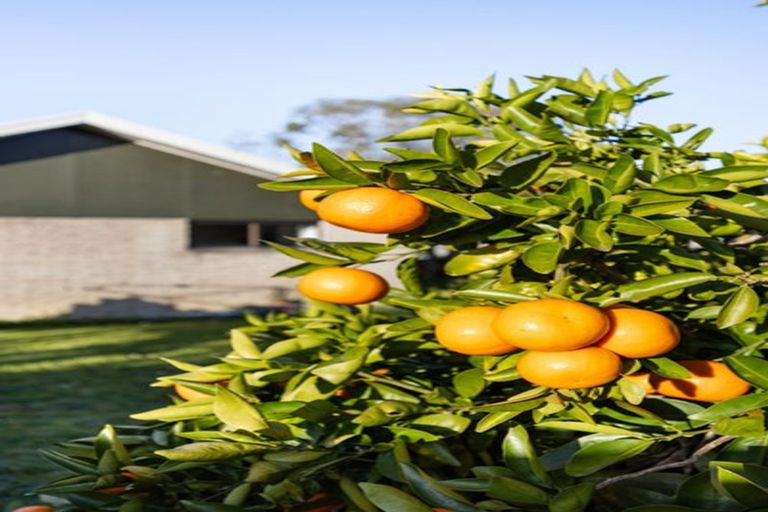 Photo of property in 6 Denz Street, Maeroa, Hamilton, 3200