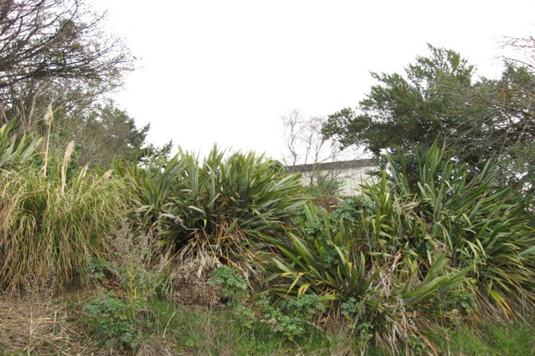 Photo of property in 1 Mount Street, Waikouaiti, 9510