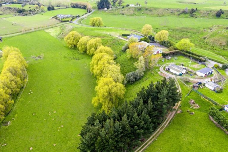 Photo of property in 9 Buckley Road, Shannon, Palmerston North, 4474