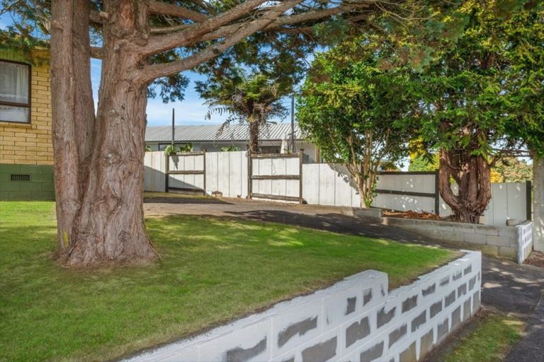 Photo of property in 67 Young Street, Morrinsville, 3300