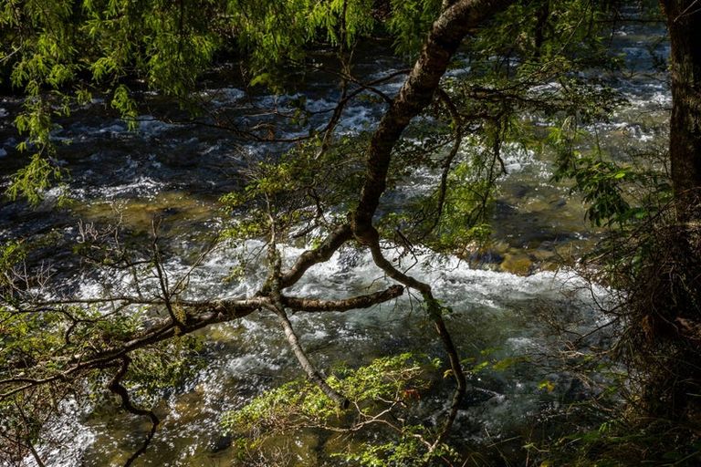 Photo of property in 101 Gowan Valley Road, Gowanbridge, Murchison, 7077