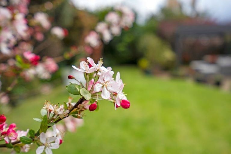 Photo of property in 13 Kereru Street, Maunu, Whangarei, 0110