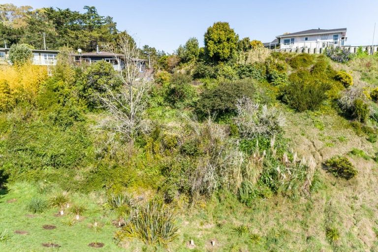 Photo of property in 51a Tainui Drive, Havelock North, 4130