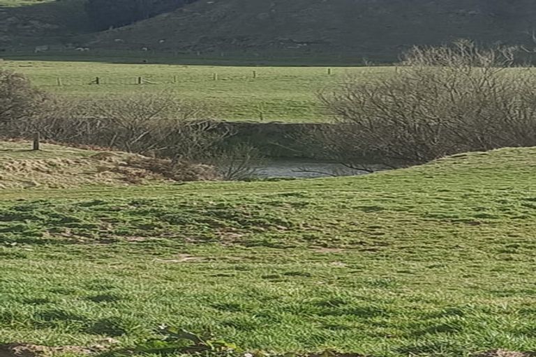 Photo of property in 347 Motu Road, Matawai, 4092