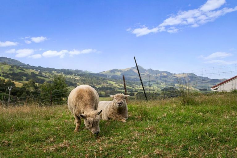 Photo of property in 289 Otuhi Road, Wheki Valley, Whangarei, 0179