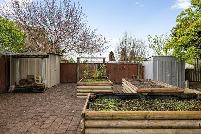 Photo of property in 18 Prinnbank Terrace, Dinsdale, Hamilton, 3204