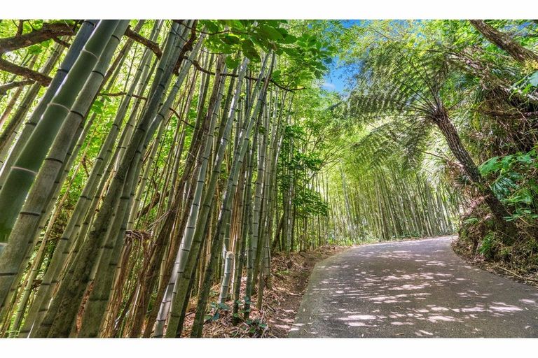 Photo of property in 854 West Coast Road, Waiatarua, Auckland, 0604