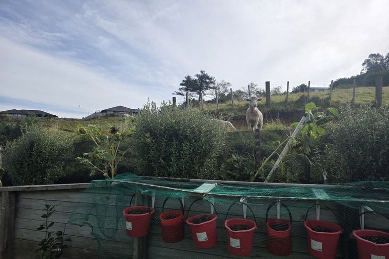 Photo of property in 344 Tukapa Street, Hurdon, New Plymouth, 4310