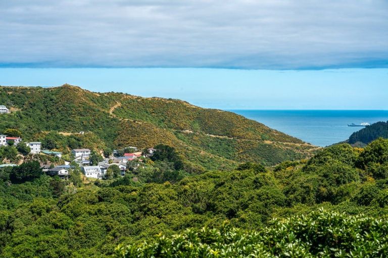 Photo of property in 303 Mitchell Street, Brooklyn, Wellington, 6021