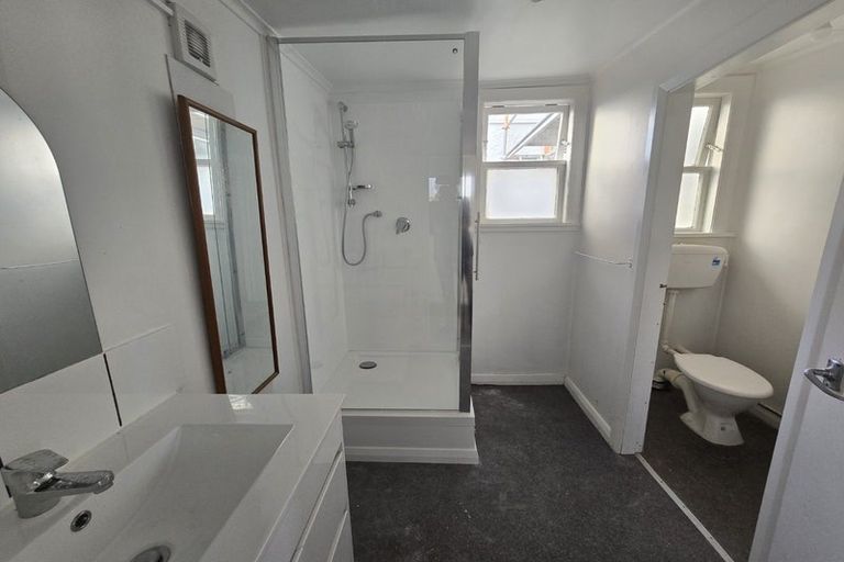 Photo of property in 101 Daniell Street, Newtown, Wellington, 6021