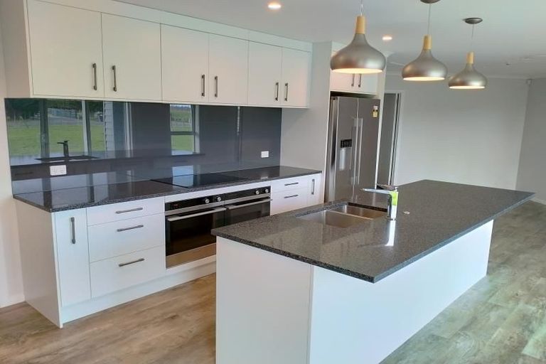 Photo of property in 115 Clevely Line, Bunnythorpe, Palmerston North, 4478