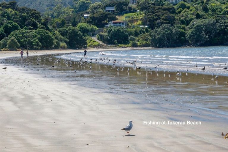 Photo of property in 12 Bay Heights Drive, Karikari Peninsula, 0483