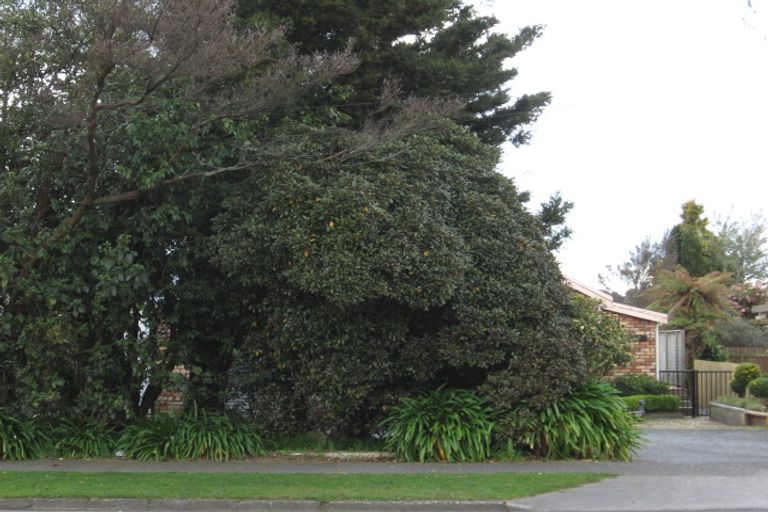 Photo of property in 219 Malfroy Road, Utuhina, Rotorua, 3015