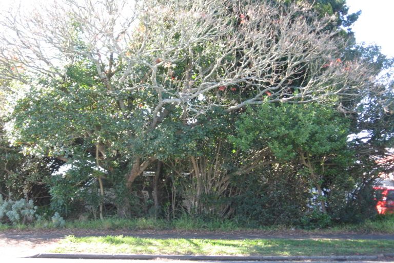 Photo of property in 374 Peachgrove Road, Fairfield, Hamilton, 3214