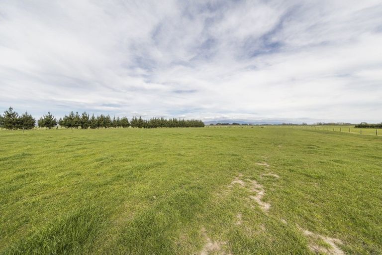 Photo of property in 265 Hoihere Road, Tiakitahuna, Palmerston North, 4477