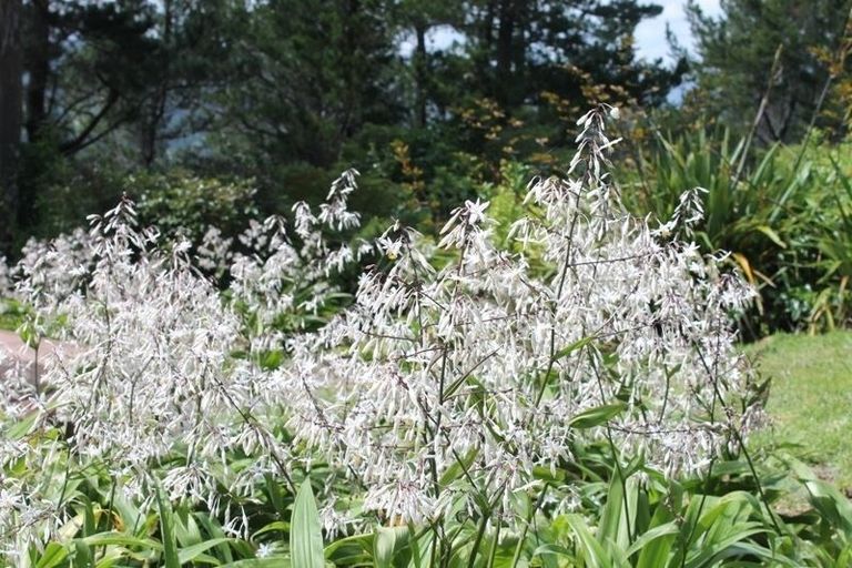 Photo of property in 93b Colville Road, Coromandel, 3584