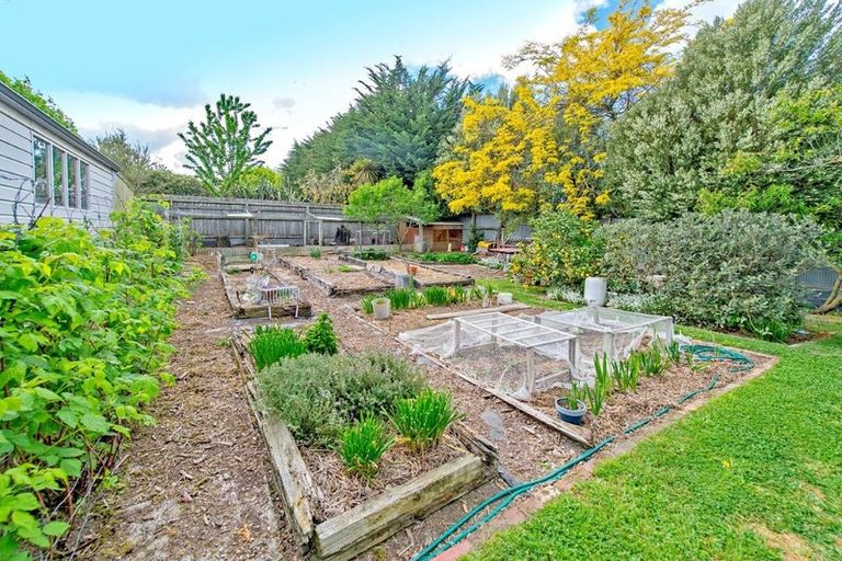 Photo of property in 8 Saint James Street, Southbridge, 7602