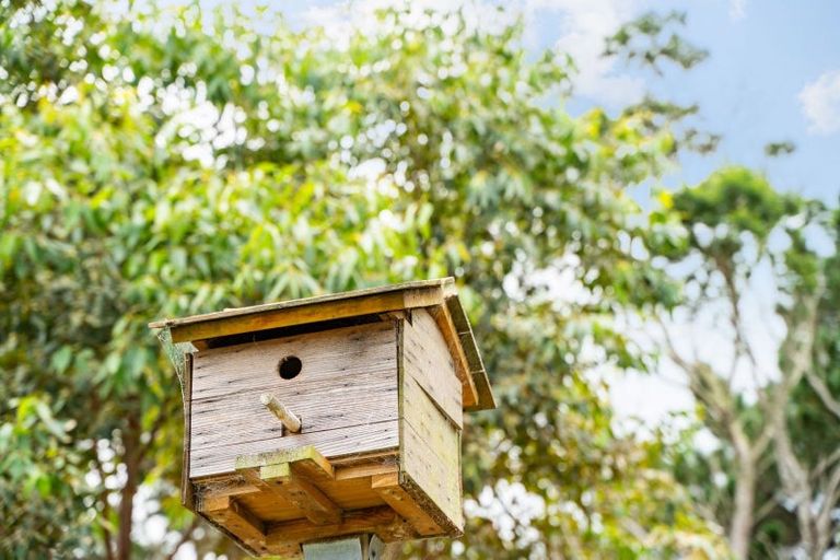 Photo of property in 21a Tamure Place, Ruakaka, 0116