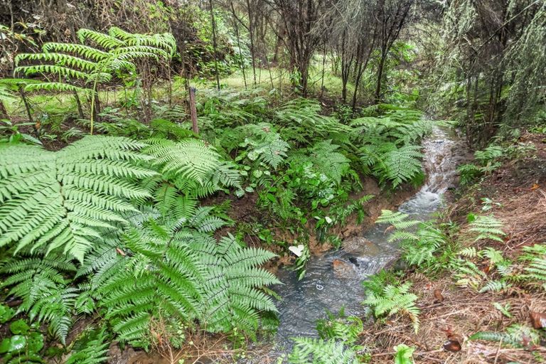 Photo of property in 29 Tyson Lane, Tuakau, 2121