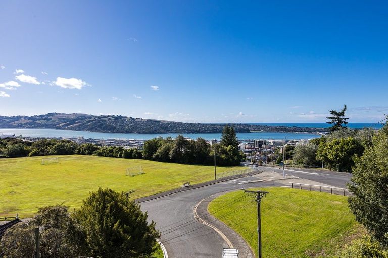 Photo of property in 20 Littlebourne Road, Roslyn, Dunedin, 9010