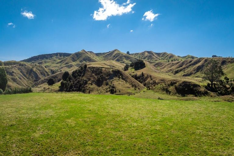 Photo of property in 2106b Kahuranaki Road, Elsthorpe, 4295