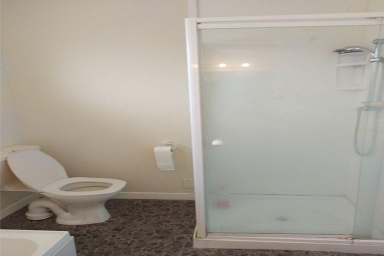 Photo of property in 41 Paisley Street, Awapuni, Palmerston North, 4412