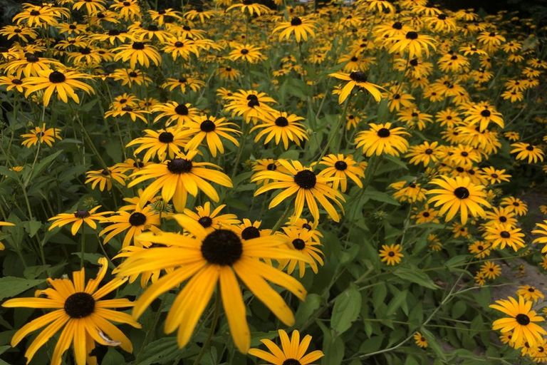 Photo of property in 125 Matangi Road, Matangi, Hamilton, 3284