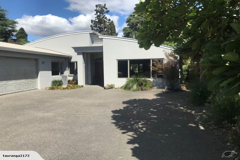 Photo of property in 116 Fourteenth Avenue, Tauranga South, Tauranga, 3112