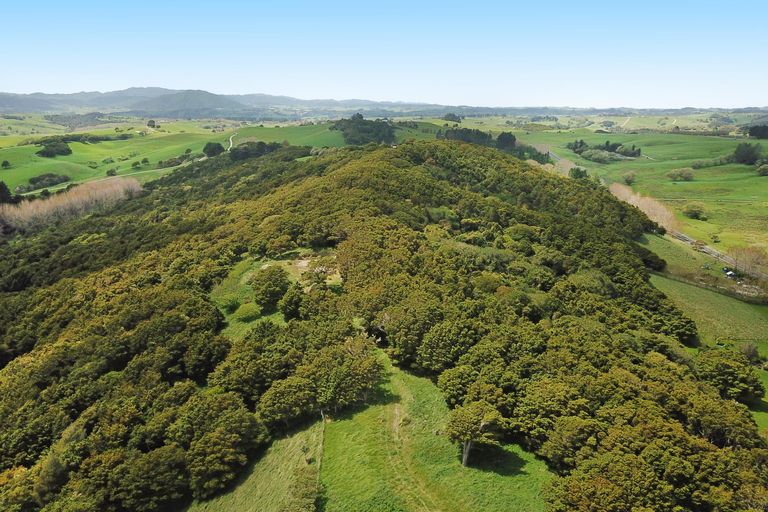 Photo of property in 542e Oneriri Road, Kaiwaka, 0573