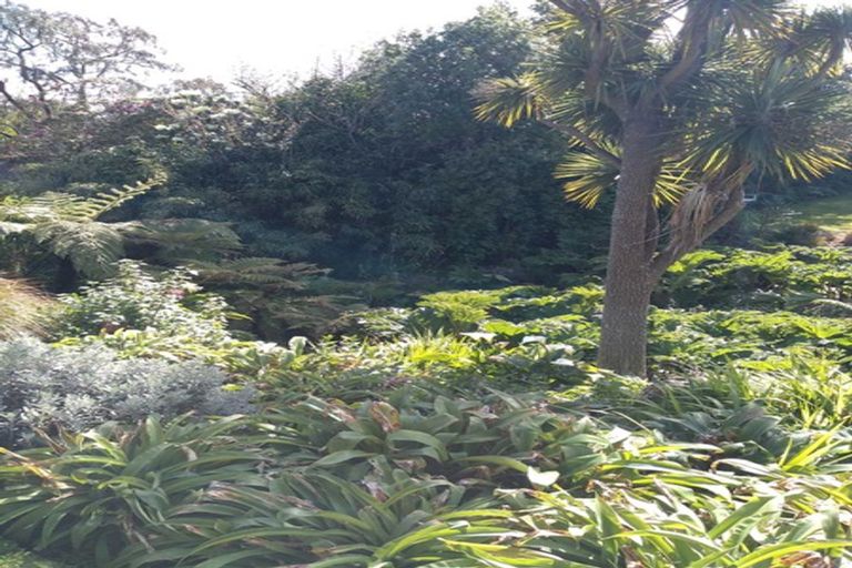 Photo of property in 5 Waikana Street, Broad Bay, Dunedin, 9014