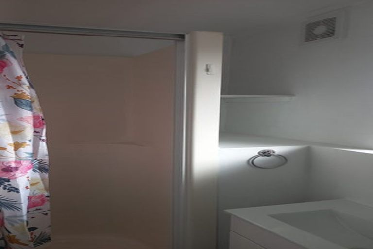 Photo of property in 51 Carey Street, Maeroa, Hamilton, 3200