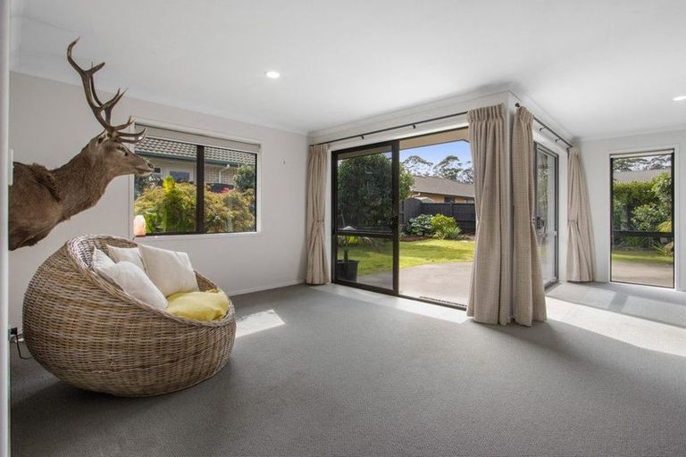 Photo of property in 51 Wills Road, Katikati, 3129