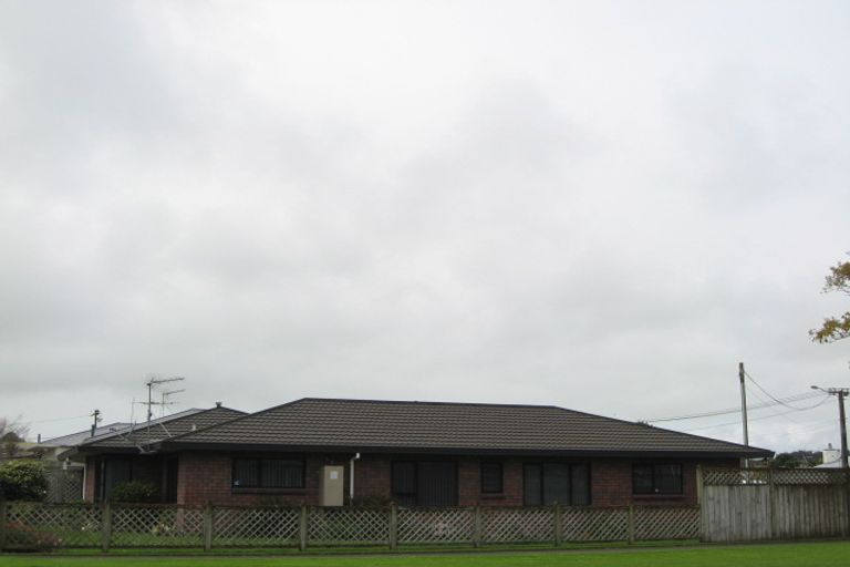 Photo of property in 20 Brookes Terrace, Waitara, 4320