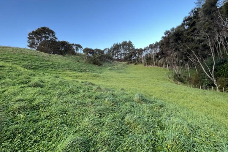 Photo of property in 185 Zanders Road, Helensville, Waimauku, 0882