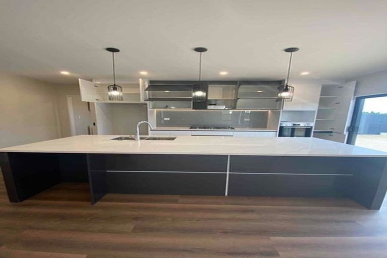 Photo of property in 24 Bendridge Street, Flat Bush, Auckland, 2019