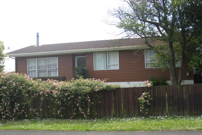 Photo of property in 17 Moncrieff Avenue, Clendon Park, Auckland, 2103