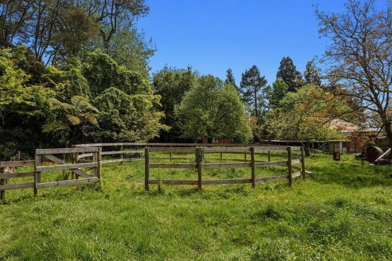 Photo of property in 326b White Pine Bush Road, Poroporo, Whakatane, 3192