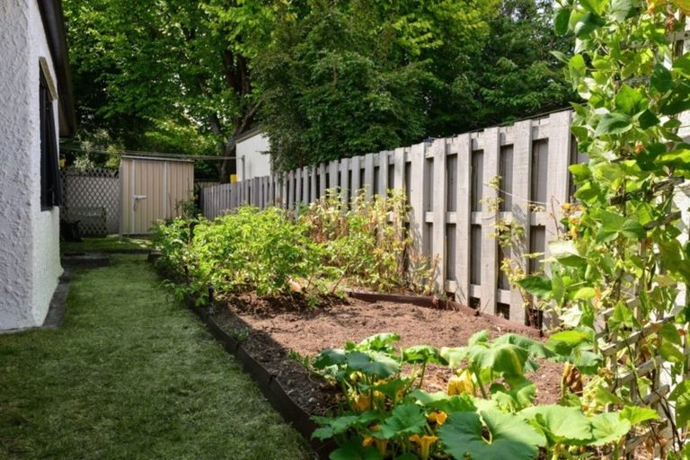 Photo of property in 10b Arcus Street, St Andrews, Hamilton, 3200