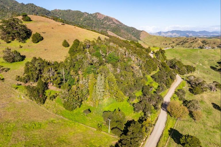 Photo of property in 1169 Tangihua Road, Maungakaramea, 0178