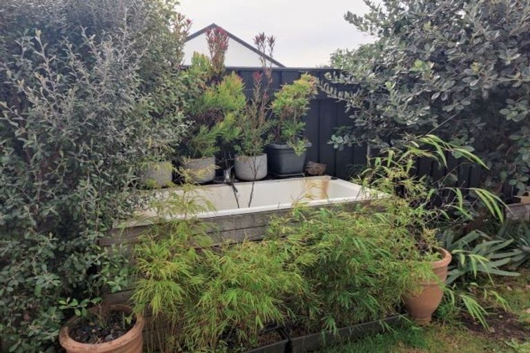 Photo of property in 17 Kedah Street, Miramar, Wellington, 6022