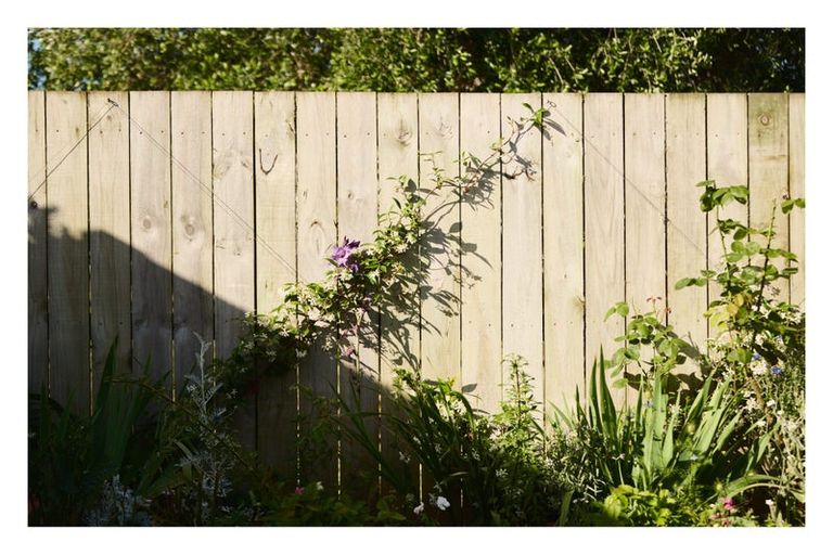 Photo of property in 19c Thames Road, Paeroa, 3600