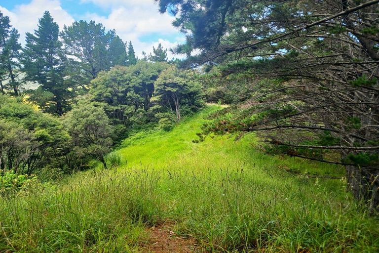 Photo of property in 184 Whangape Road, Herekino, Kaitaia, 0481