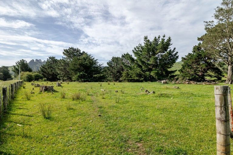 Photo of property in 423 Castle Hill Road, Alfredton, Eketahuna, 4996