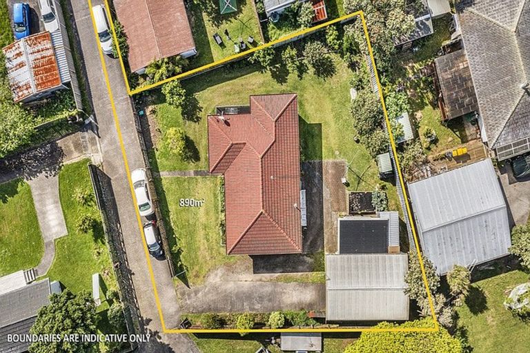Photo of property in 12 Hinerau Street, Henderson, Auckland, 0612
