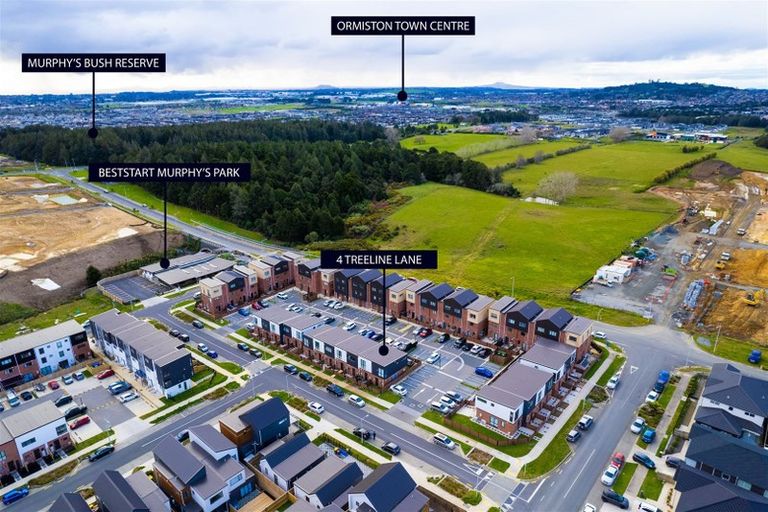 Photo of property in 4 Treeline Lane, Flat Bush, Auckland, 2019